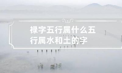 禄字五行属什么 五行属水和土的字