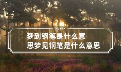 梦到钢笔是什么意思 梦见钢笔是什么意思