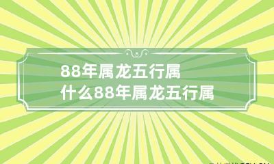 88年属龙五行属什么 88年属龙五行属什么的