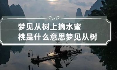 梦见从树上摘水蜜桃是什么意思 梦见从树上摘桃吃,求周公解梦