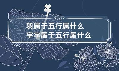 羽属于五行属什么 宇字属于五行属什么
