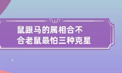 鼠跟马的属相合不合 老鼠最怕三种克星