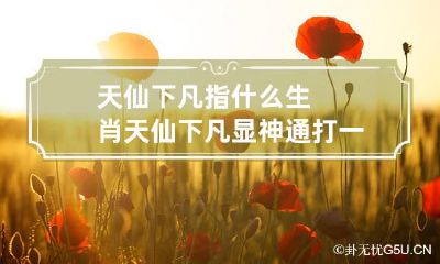 天仙下凡指什么生肖 天仙下凡显神通打一生肖