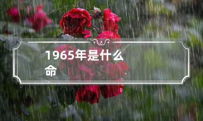 1965年是什么命