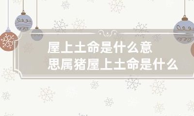 屋上土命是什么意思 属猪屋上土命是什么意思