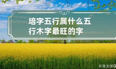 培字五行属什么 五行木字最旺的字