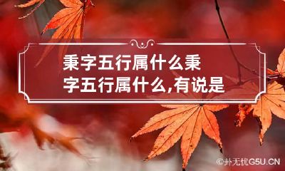 秉字五行属什么 秉字五行属什么,有说是属水,有说属木