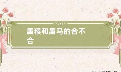 属猴和属马的合不合