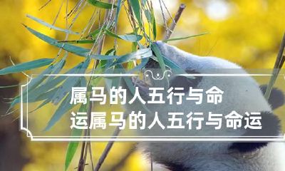 属马的人五行与命运 属马的人五行与命运有关吗