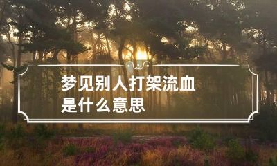 梦见别人打架流血是什么意思
