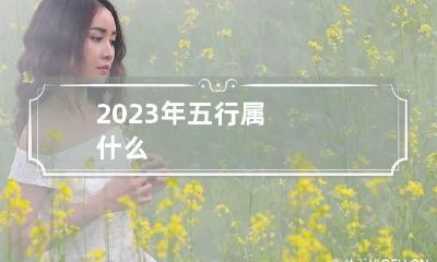 2023年五行属什么