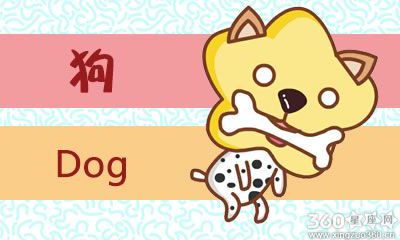 属狗人会用什么方式向心爱的人告白