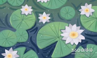 属狗人演说感染力指数解读