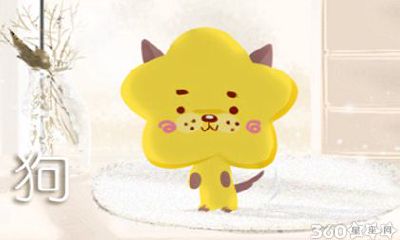 70狗男和80猴女相配吗 爱情指数高吗