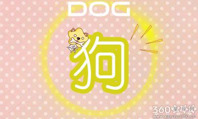 属狗的人遇见不忠诚的人会分手吗