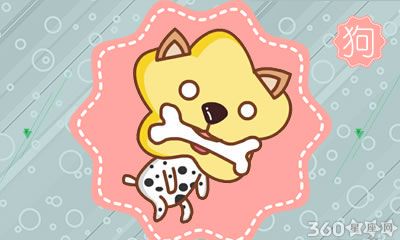 属狗的人为什么会被当猴耍