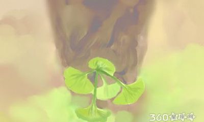 属狗的人最喜欢送爱人什么花