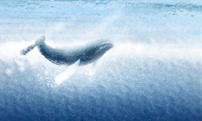 属狗人的最佳伴侣是哪些生肖？