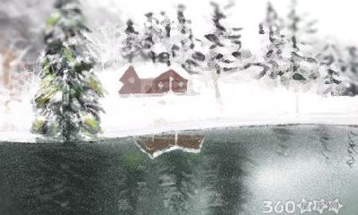 婚姻是爱情的坟墓，属狗的人如何看待