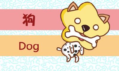 属狗的人喜欢找你聊天是喜欢你吗