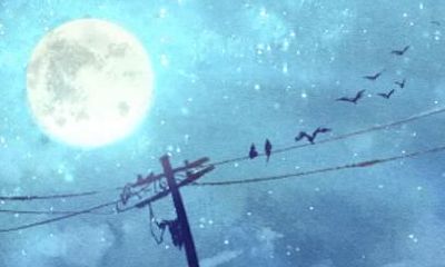 1994年属狗女2021年婚姻运势 27岁属狗女运程