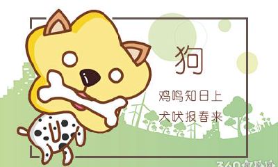 70年属狗人48岁后命运会怎么样