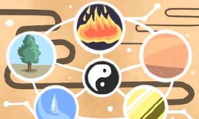 属狗的家里忌讳摆放什么 风水物品