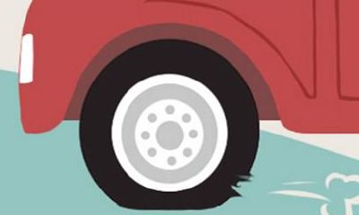 1982年的属狗人运势2021年 属狗人运气好不好