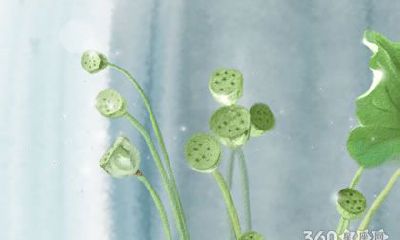 属狗的人适合学习什么外语？