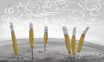 甲戍年是哪一年属什么 甲戌年是什么命