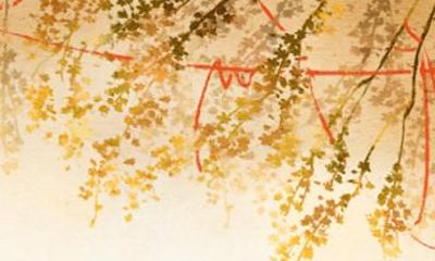 60年属鼠女2021年婚姻运势 61岁属鼠女的运势