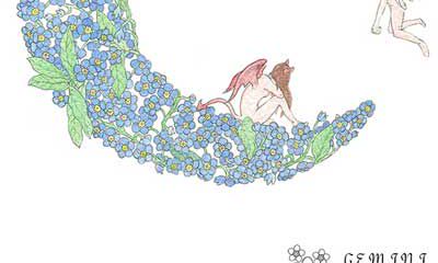 双子座的星座守护花是什么？