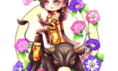 双子座和什么座最配：第9名金牛座