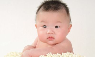 @兔宝宝起名