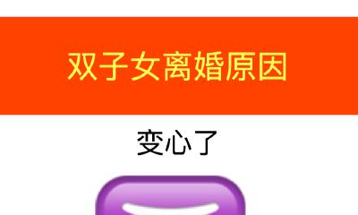 揭秘双子女离婚原因
