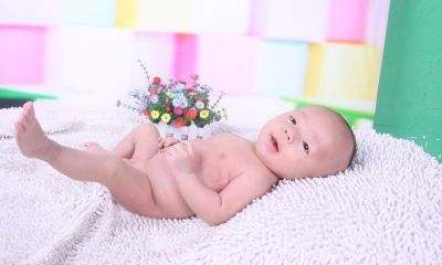 属狗男宝宝刘泽起名取名字