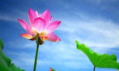 宝宝八字取名,宝宝生辰八字取名