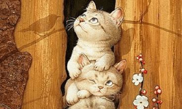 猫叫啥名字悦耳