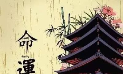 八字主命，名字行运