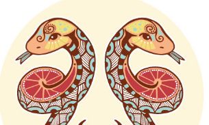 双子座的内在野性