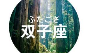 双子座速配指数,双子座星座配对指数