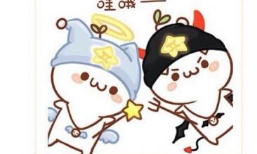 双子座男女向对方示爱方式