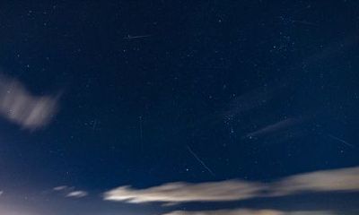 双子座的个性网名