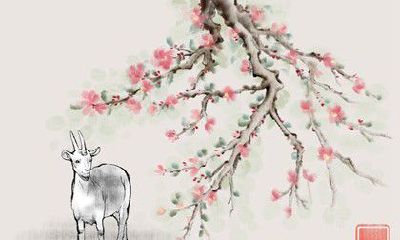 生肖羊和生肖牛配婚 性格上的相处状况