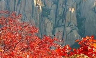 大揭秘,天蝎座有多么适合投资？