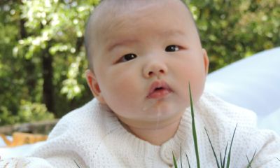 给姓冉的鸡宝宝起名取名
