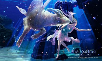 魔羯座的职业选择,魔羯座适合什么职业