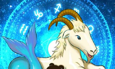 摩羯座深蓝色圣诞节的幸运物