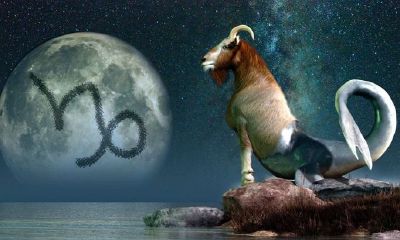 摩羯女和巨蟹男配对