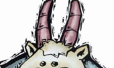 摩羯座的网络情缘